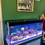 Duca Di Uzeda B&B 4*