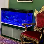 Duca Di Uzeda B&B 카타니아