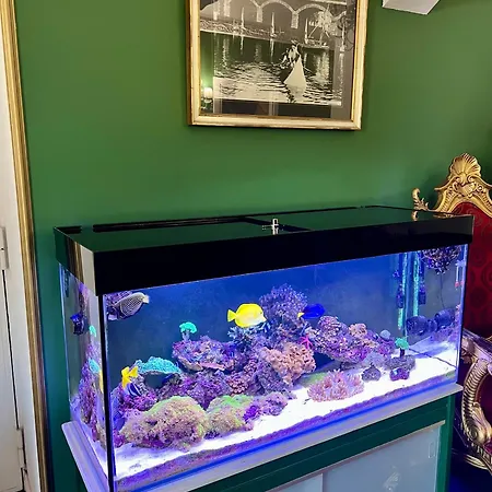 Duca Di Uzeda Bed & Breakfast 4*