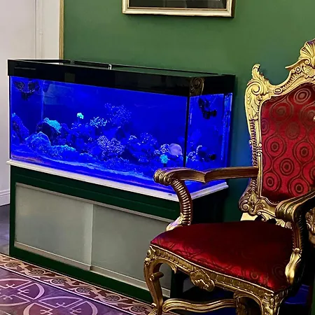 Duca Di Uzeda Luxury&style Bed & Breakfast Aeroporto di Catania Fontana Rossa